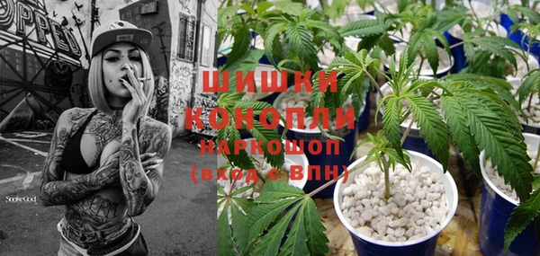 дмт Кинешма