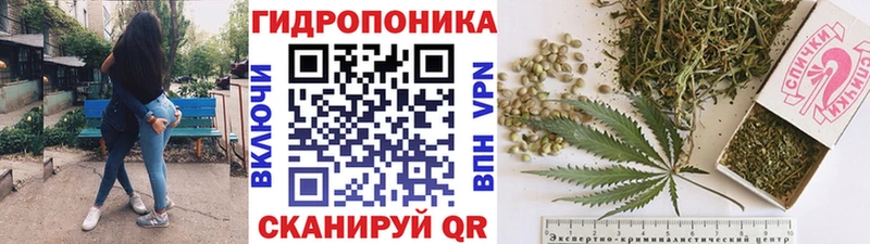 Купить  Заволжск  Марихуана конопля 
